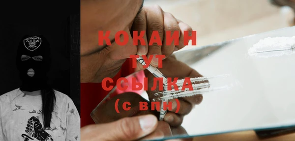 винт Абаза