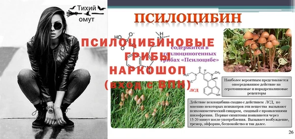 винт Абаза