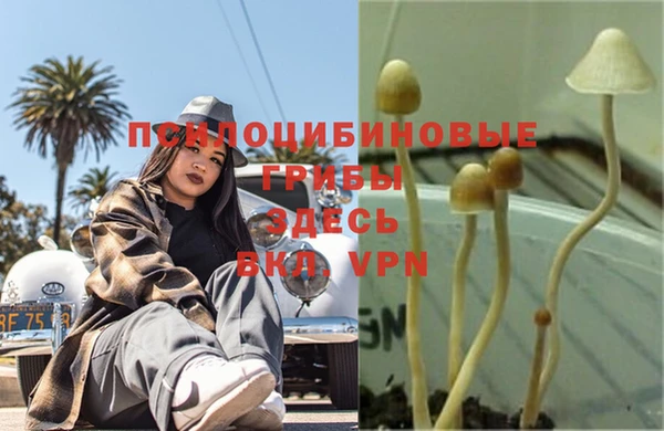 соль ск Алексеевка