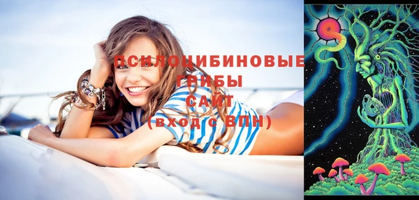 винт Абаза