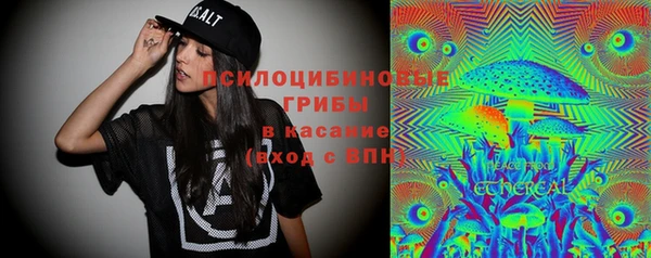 винт Абаза