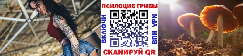 сайты даркнета состав Кудымкар Галлюциногенные грибы Psilocybe